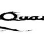Wqsw 100.5 FM logo