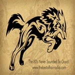 The Best Of Hair Radio logo