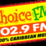 Choice 1029 logo
