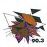 WHCJ 90.3 FM logo