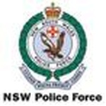 New Castle Fire and Police logo