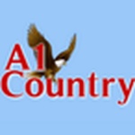 A1/Country Radio / Lightning/Country logo