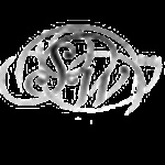 SELAH rADIO 24/7 logo