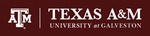 TAMU Parking Enforcement logo