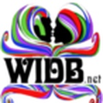 WIDB.NET The Remedy logo