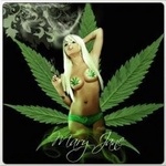The 24/7 Stoner Jesus Radio Network logo