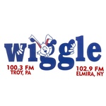 Wiggle 100 / WHGL/FM logo