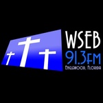 WSEB 91.3 FM / WSEB logo