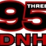 95.3 DNH / WDNH/FM logo