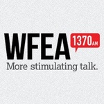 WFEA logo