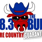 The Bull 98.3 / WCEF logo