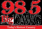 The Big Dawg / WDWG logo