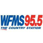 WFMS logo