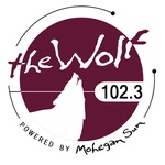 WMOS logo