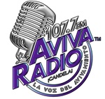 Aviva Radio / KNNN/LP logo