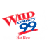 Wild Country 99 logo
