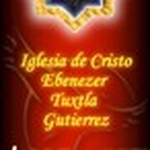 Radio Presencia logo