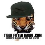 Tiger fitted radio logo