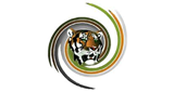 Tiger FM logo