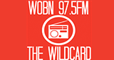 The Wildcard logo