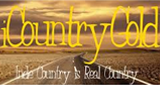 ICountryGold logo