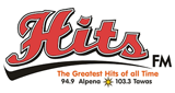 Hits FM logo
