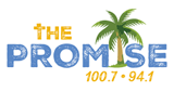 The Promise logo
