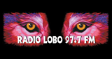 Radio Lobo 97.7 logo