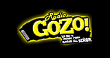 Radio Gozo logo