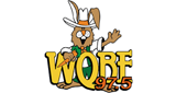 WQBE/ FM logo