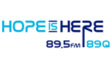 89/Q logo